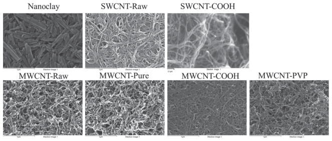 Comparison of nanotube-protein corona composition in cell culture media.